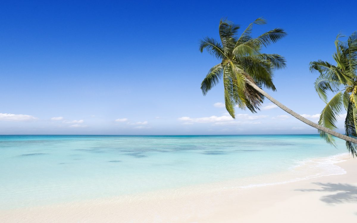 Get Away to Paradise!